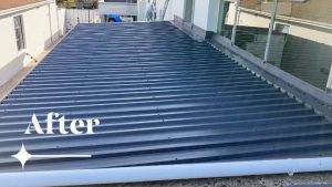 Job023 Replace Roof 7