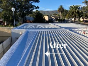 Job024 Waterproof Roof 1